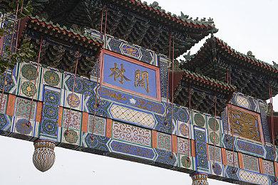 2.5D动作冒险游戏《金刚：生存本能》Steam页面公布 秋季发售